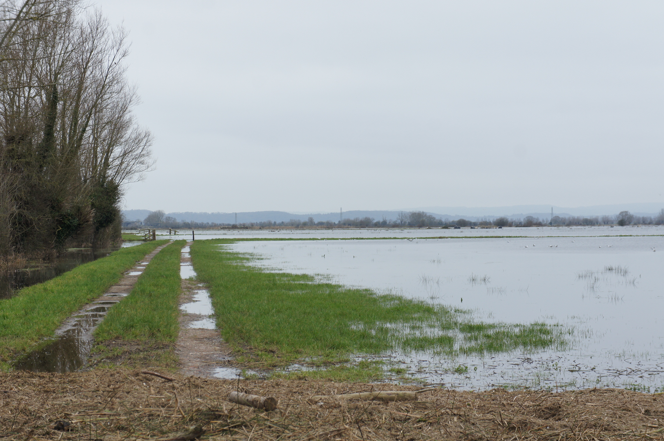 Flood pumps